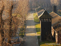 Weekend in Krakow - Auschwitz Camp